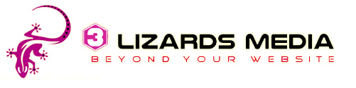 3 Lizards Media – Fountain Hills and Lake Havasu Web Design