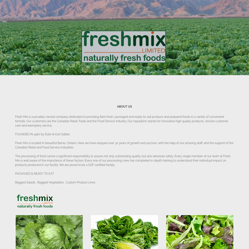 Freshmix Limited Website Design